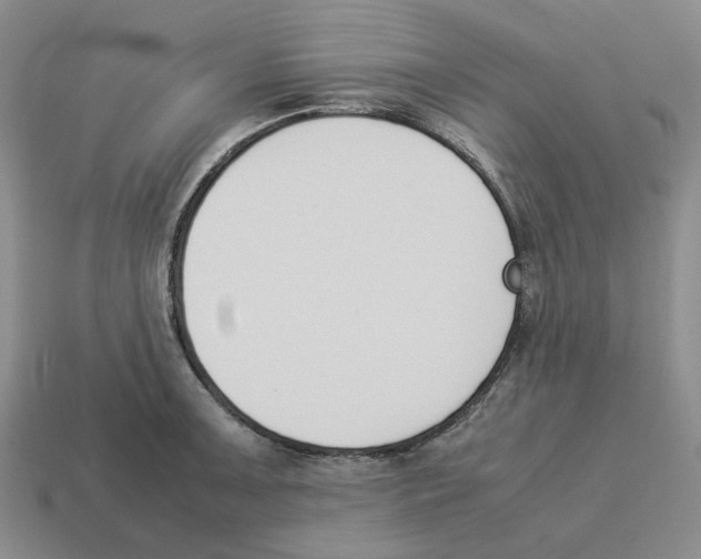 X0000114231091200911061523