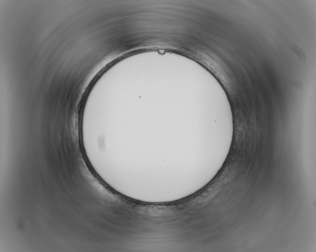 X0000114231092200911061523