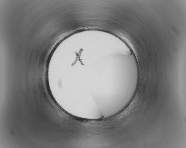 X0000114231093200911061523