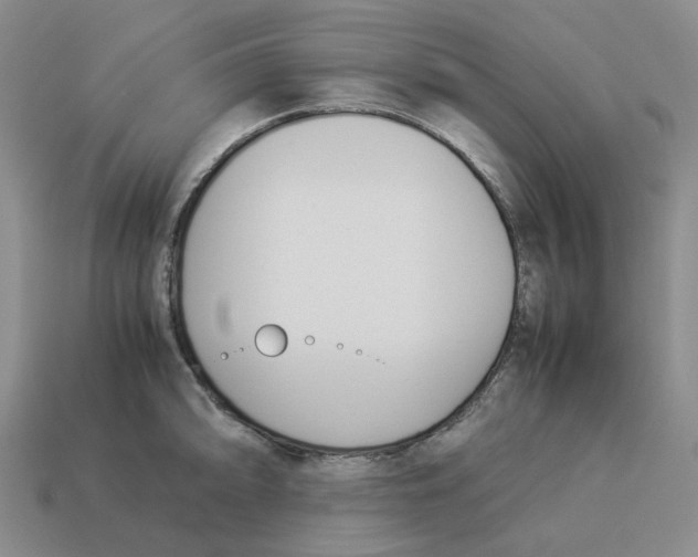 X0000114231094200911061523