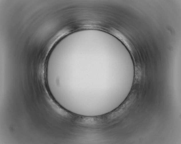 X0000114231098200911061523