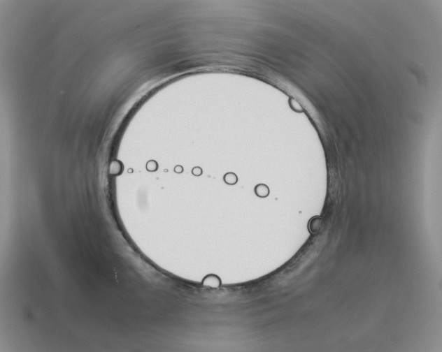 X0000114231099200911061523