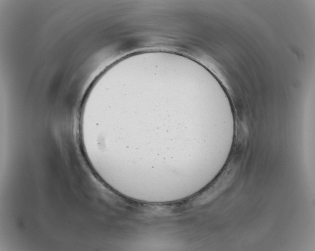 X0000114231101200911061523