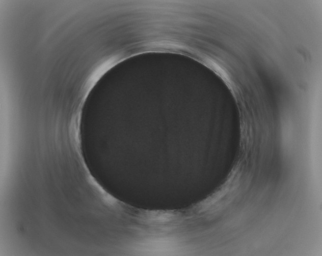 X0000114231103200911061523