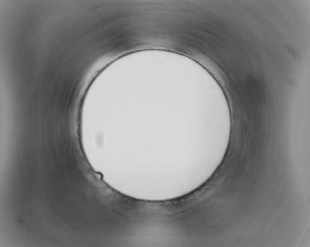 X0000114231104200911061523