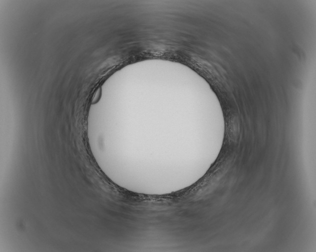 X0000114231105200911061522