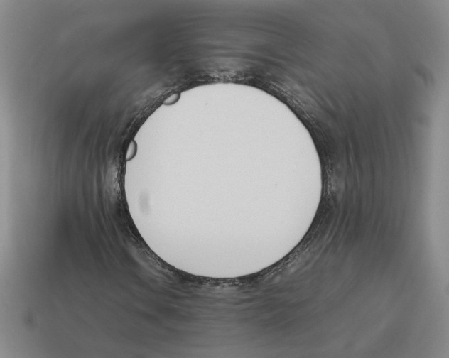 X0000114231106200911061522