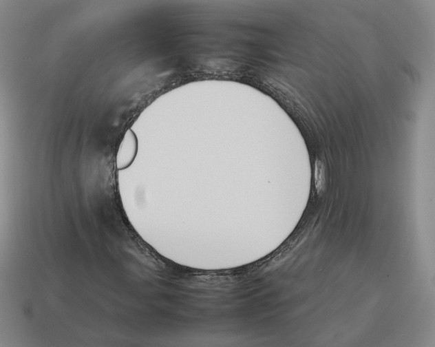 X0000114231107200911061522