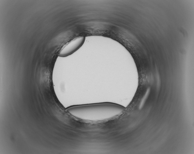 X0000114231108200911061522