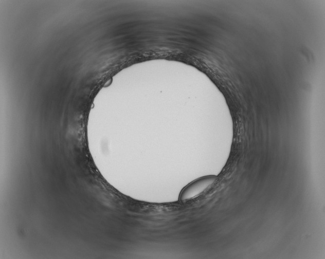 X0000114231109200911061522