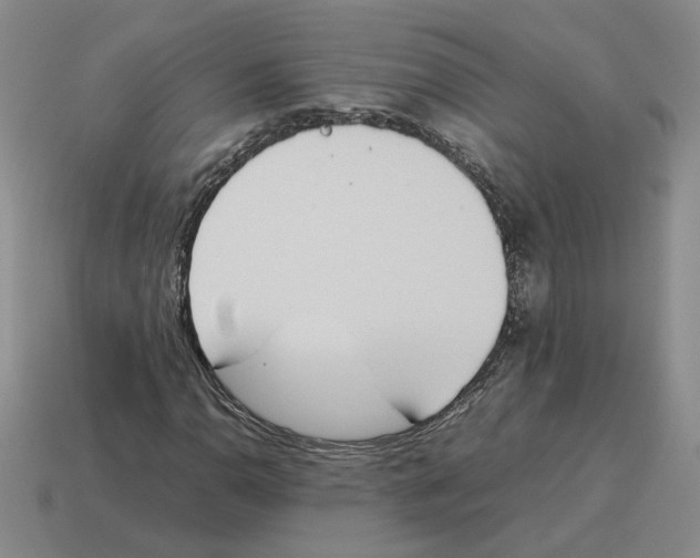 X0000114231110200911061522