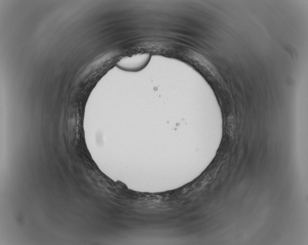 X0000114231111200911061522