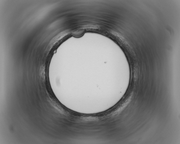 X0000114231113200911061522