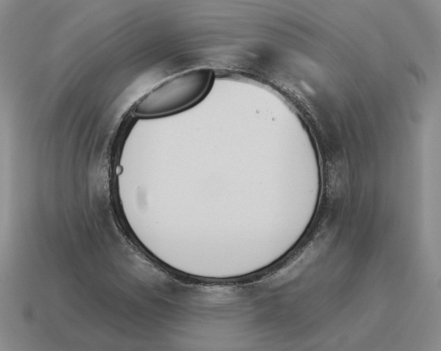 X0000114231114200911061522
