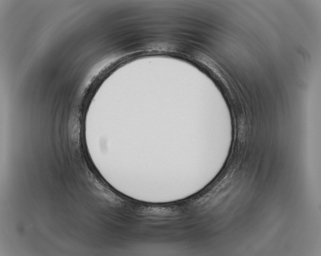 X0000114231115200911061522