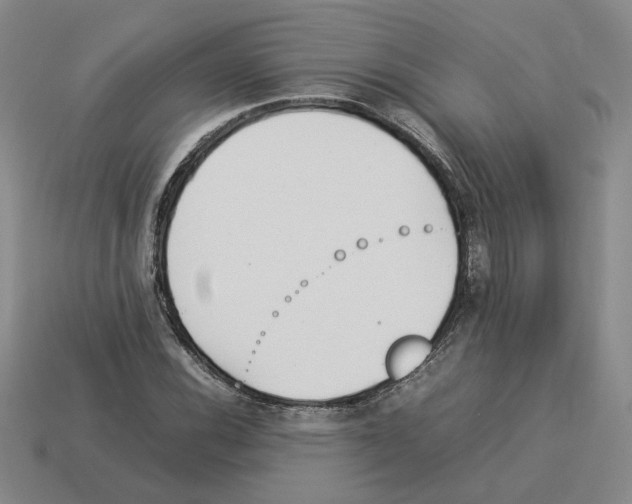 X0000114231116200911061522
