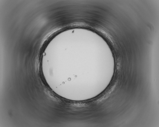X0000114231117200911061522