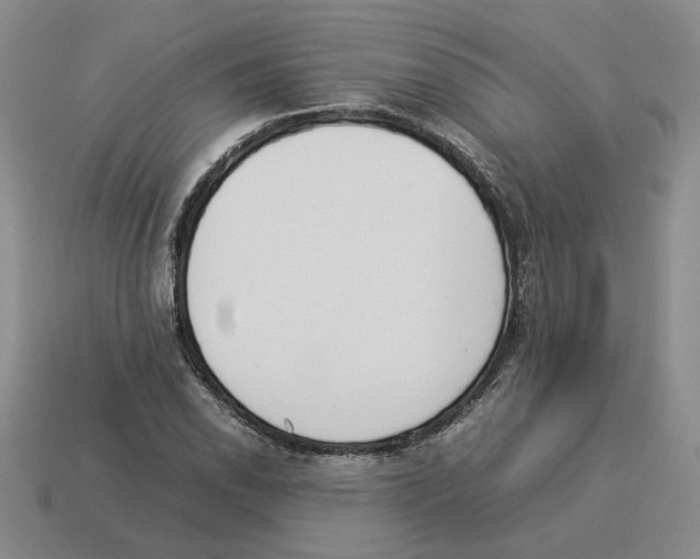 X0000114231118200911061522