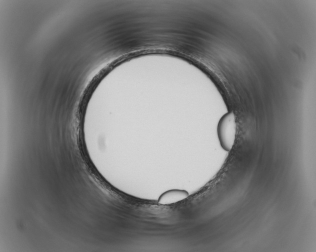 X0000114231119200911061522