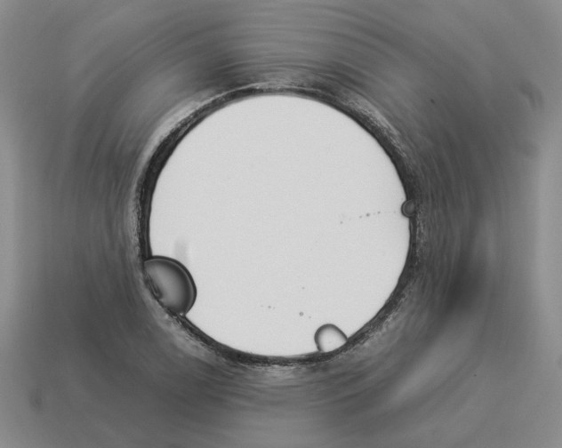 X0000114231122200911061522