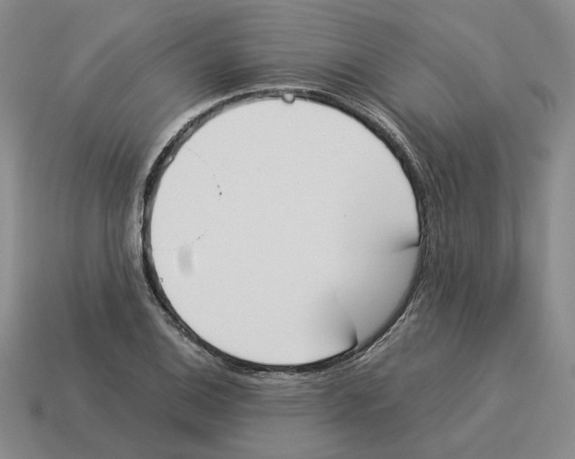 X0000114231124200911061522