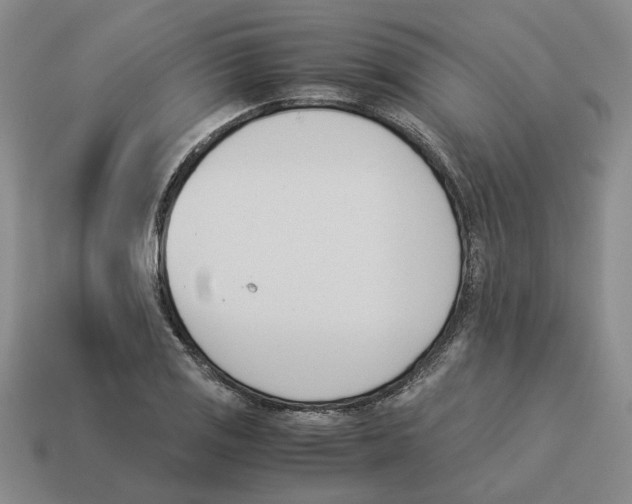 X0000114231125200911061522