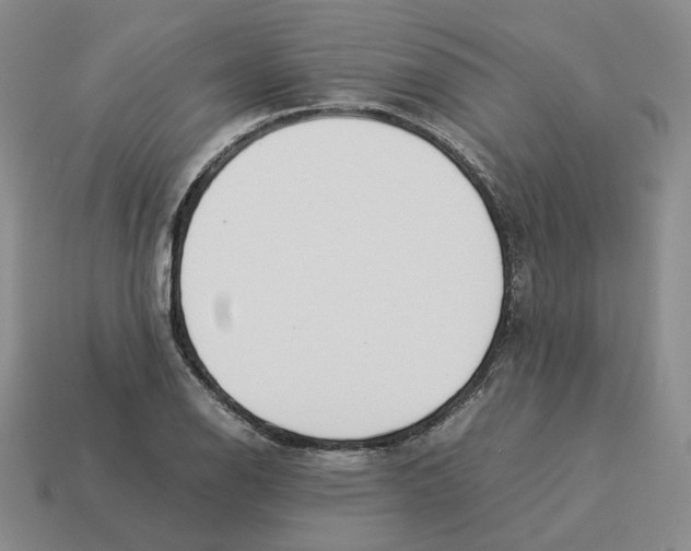 X0000114231126200911061522