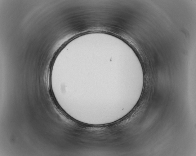 X0000114231127200911061522