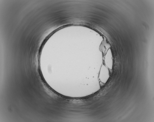 X0000114231128200911061522