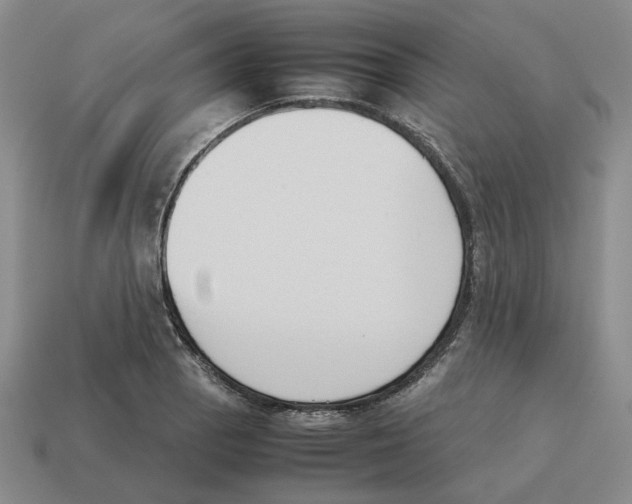 X0000114231129200911061522