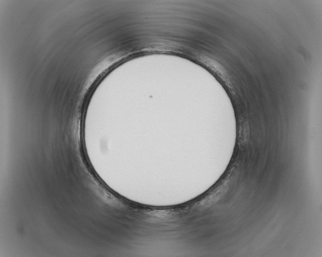 X0000114231130200911061522
