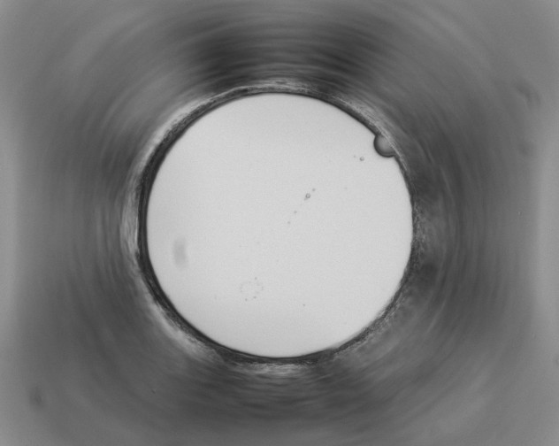 X0000114231131200911061522
