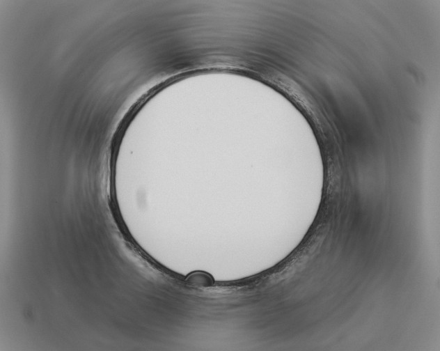 X0000114231132200911061522
