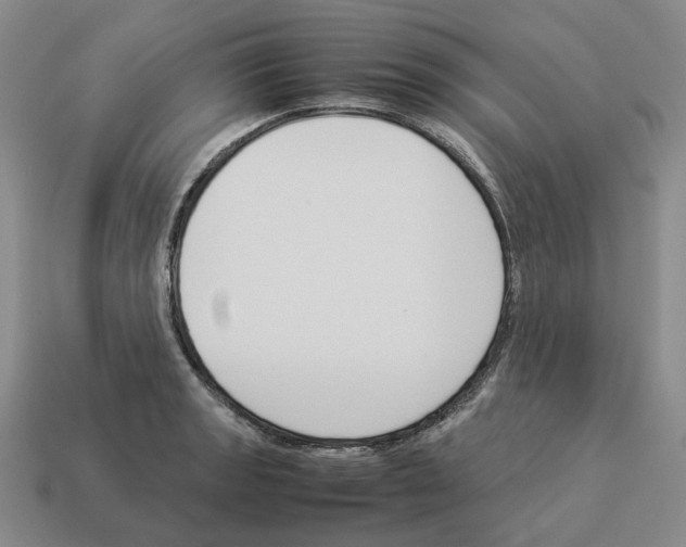 X0000114231133200911061522