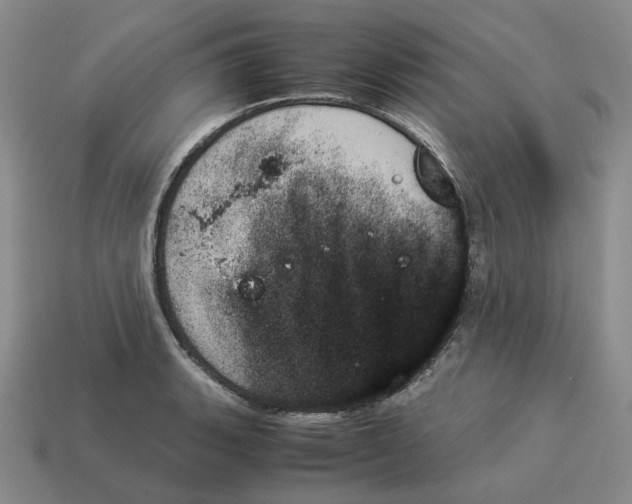 X0000114231135200911061522