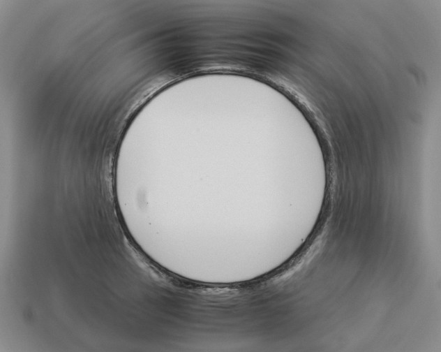 X0000114231137200911061522