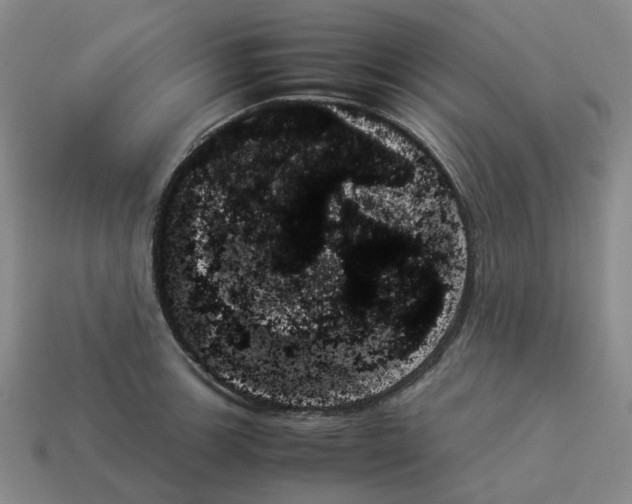 X0000114231139200911061522