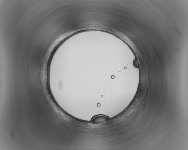 X0000114231144200911061522