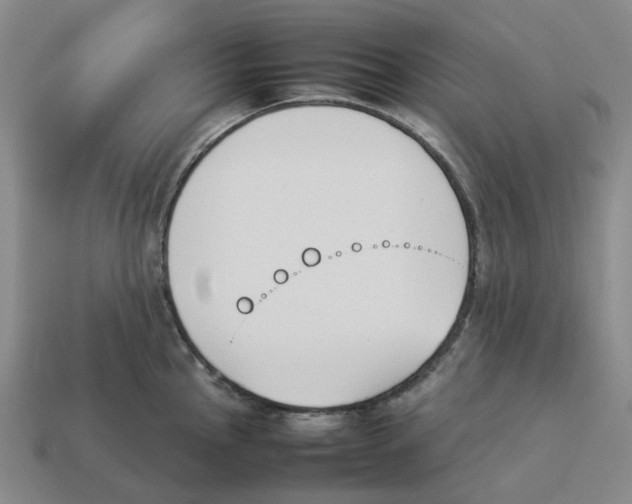 X0000114231145200911061522