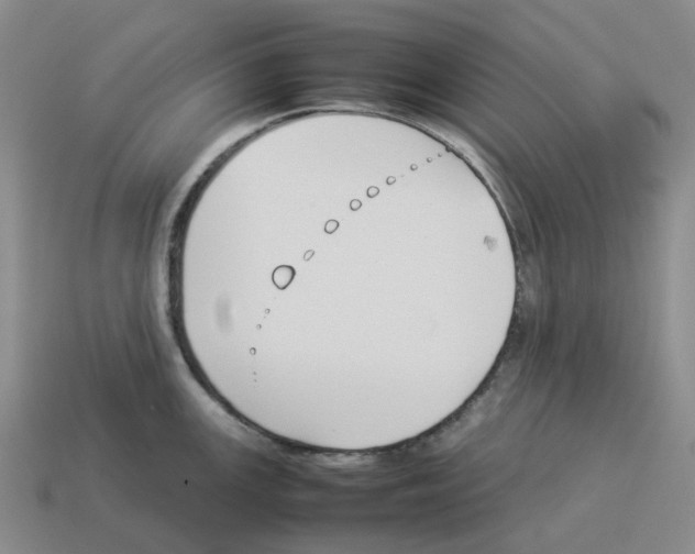 X0000114231147200911061522