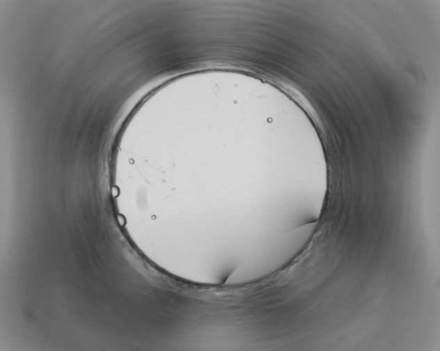 X0000114231148200911061523