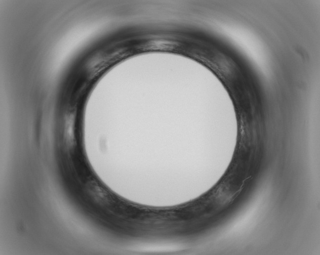 X0000114231150200911061523