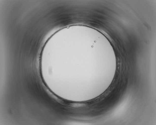 X0000114231151200911061523