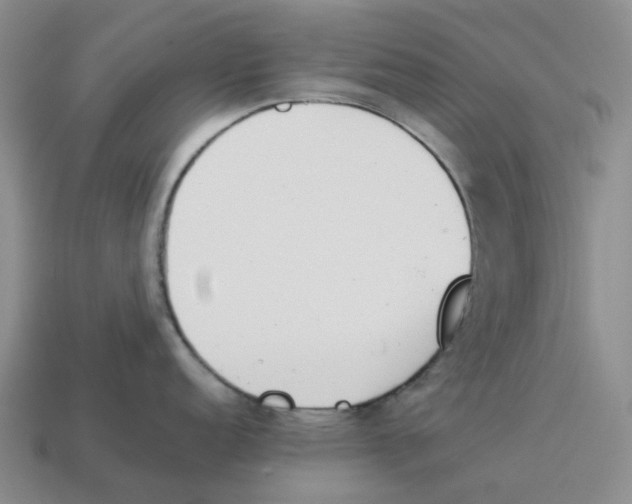 X0000114231152200911061523
