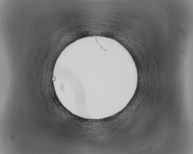X0000114231153200911061522
