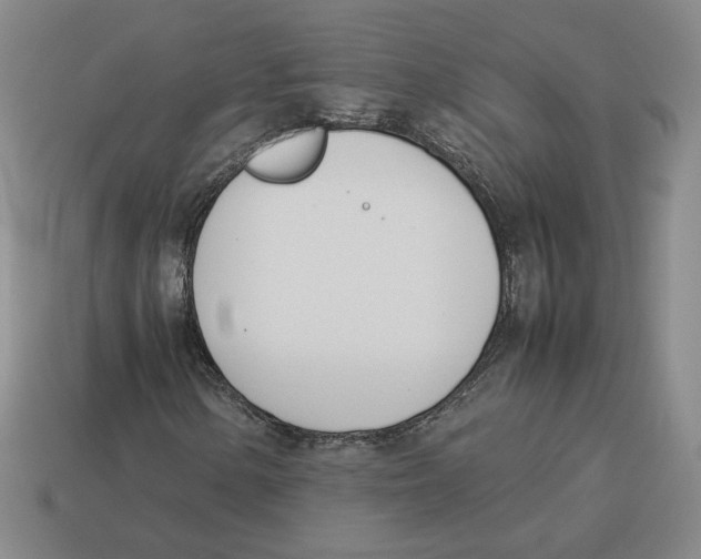 X0000114231154200911061522