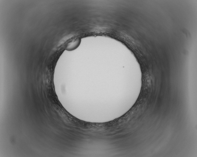 X0000114231158200911061522