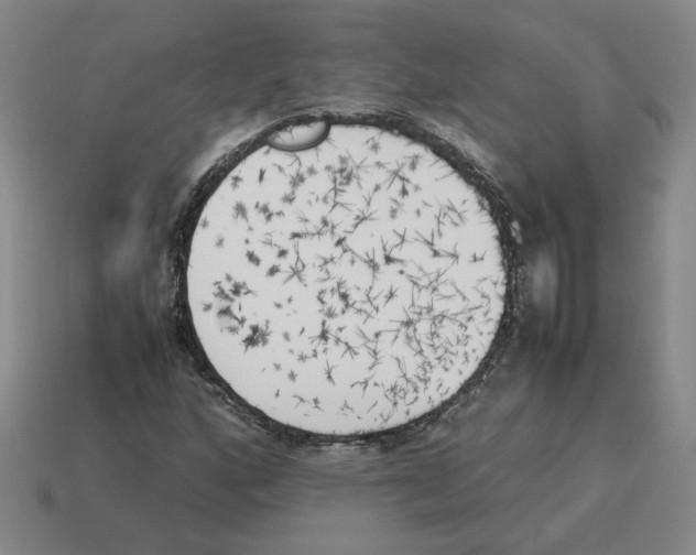 X0000114231160200911061522