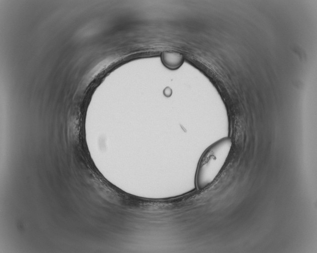 X0000114231163200911061522