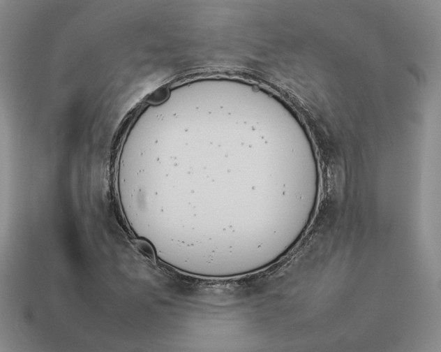 X0000114231165200911061522